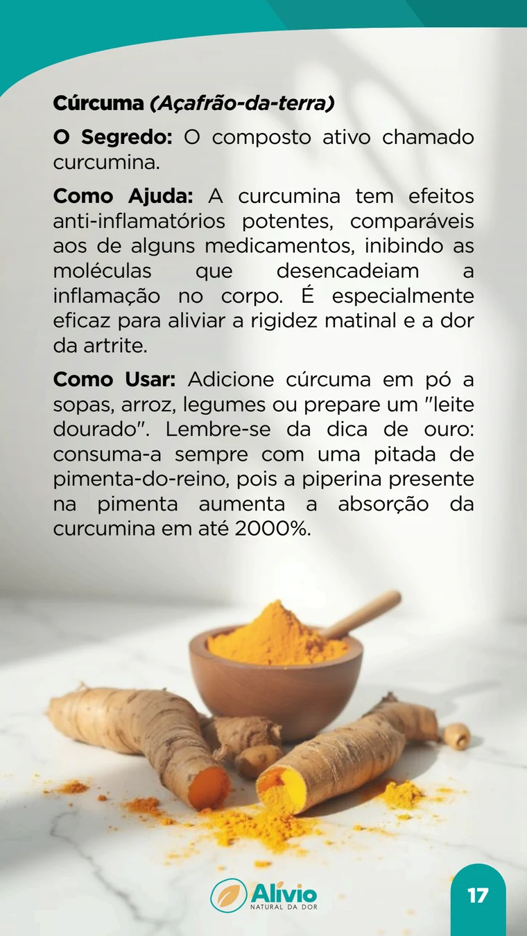 Página real do e-book sobre cúrcuma